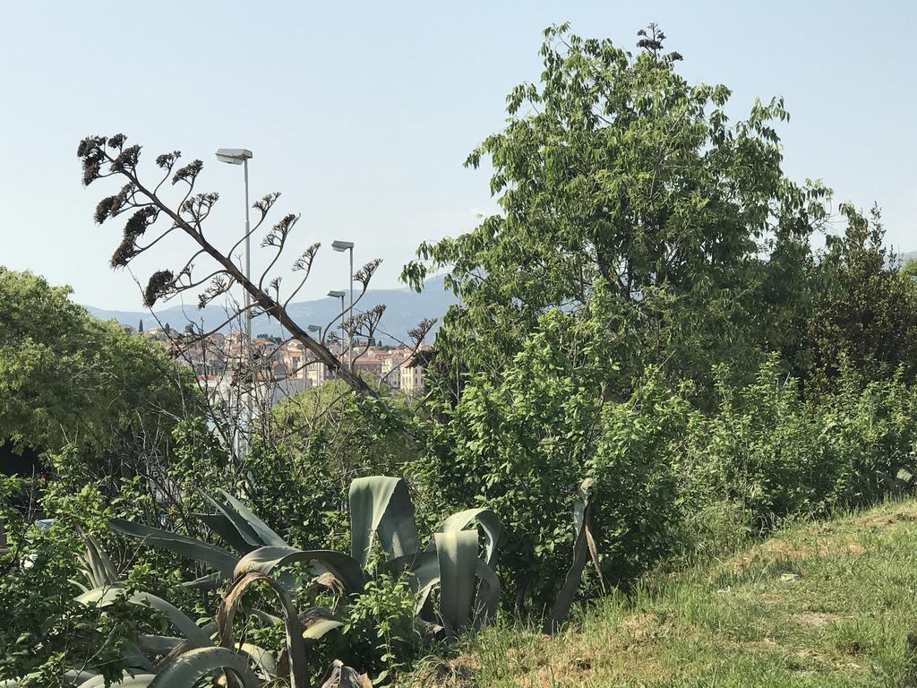 Luxury Apartment Valentina Split Kültér fotó